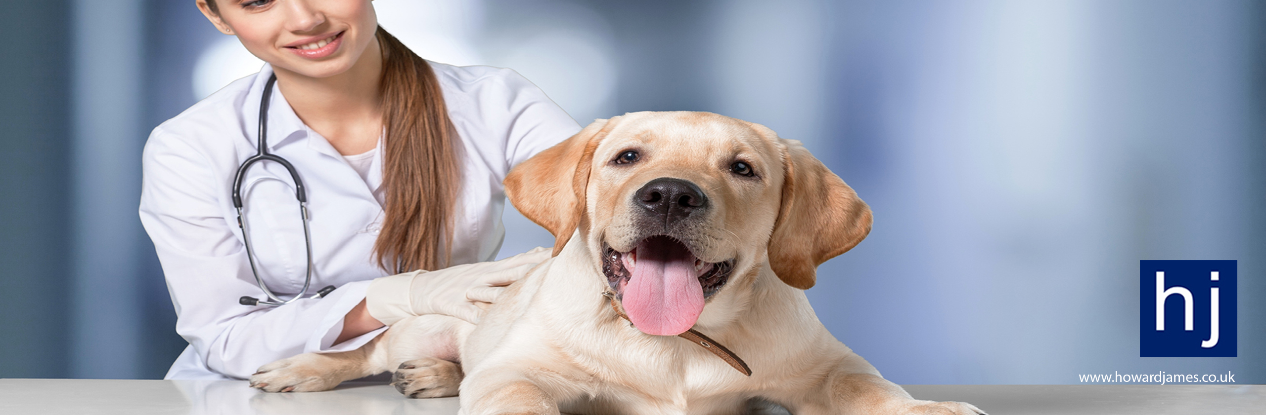 Howard James Recruitment seeks registered-veterinary nurse